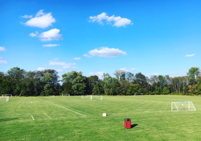 Fields 4